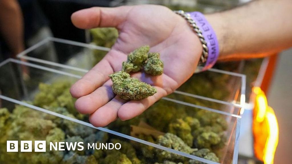 Trump firma una orden para reclasificar la marihuana y facilitar su acceso como droga menos peligrosa