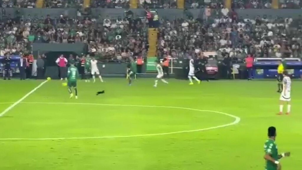 Un gato negro aparece, James Rodríguez es despedido y Sergio Ramos sufre una lesión