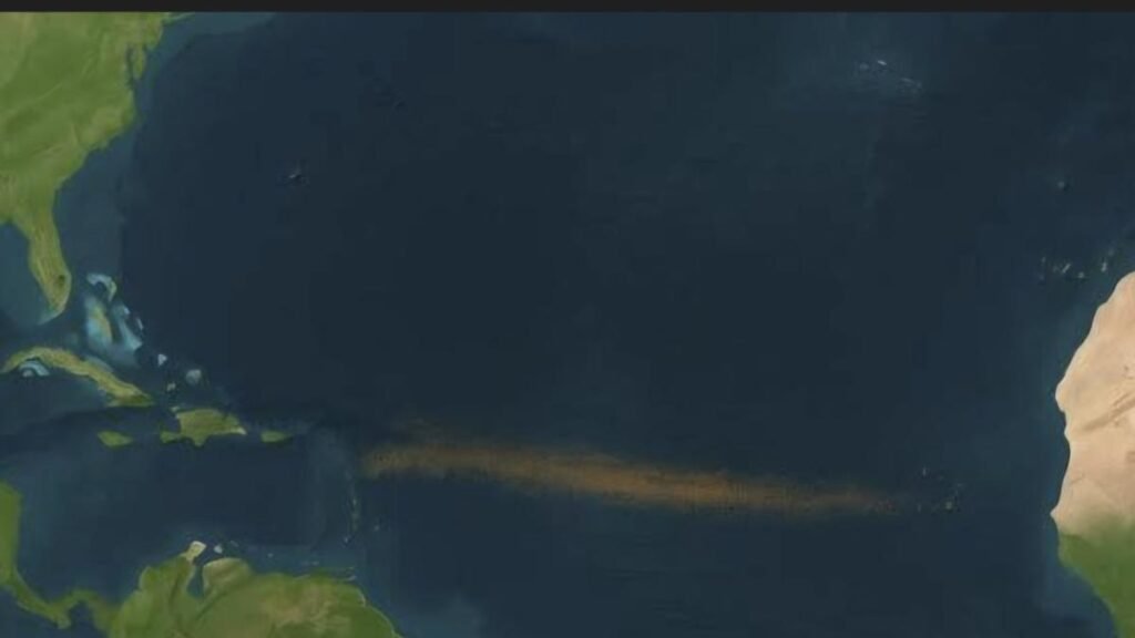 Advertencia por la histórica llegada de sargazo a las playas de México