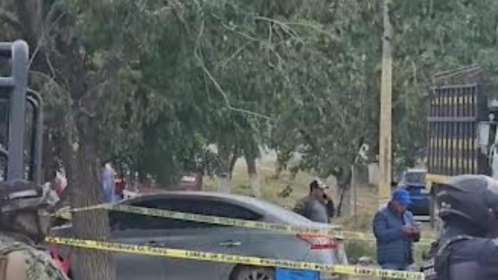 Tres compradores de naranja son asesinados en Álamo, Veracruz