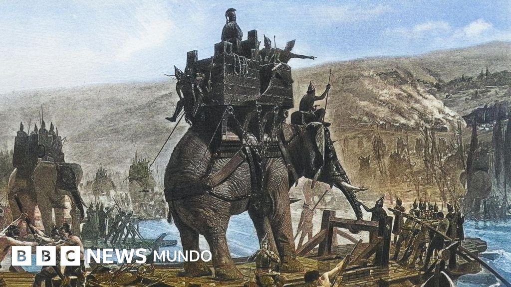 El hueso que sugiere el legendario paso de un elefante de guerra de Aníbal por Europa