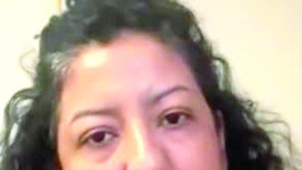 Vania Pérez enfrenta acusaciones mientras lidera el Comité Ciudadano del Sistema Nacional Anticorrupción