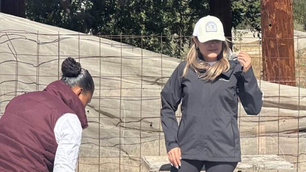 Exdirectora del INVI en BCS enfrenta proceso por supuesto desfalco