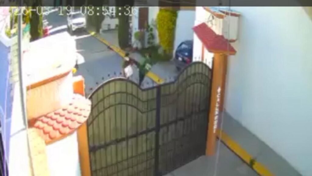 Joven con autismo sufre brutal agresión por el ladrido de perros