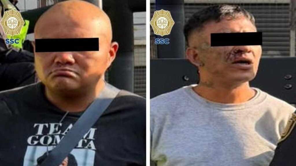 Detenidos dos hombres por el robo de un monedero a una mujer en el Centro Histórico