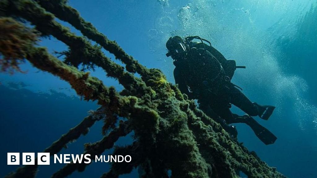 El impacto de los buques varados en el estrecho de Ormuz en la proliferación de especies marinas invasoras